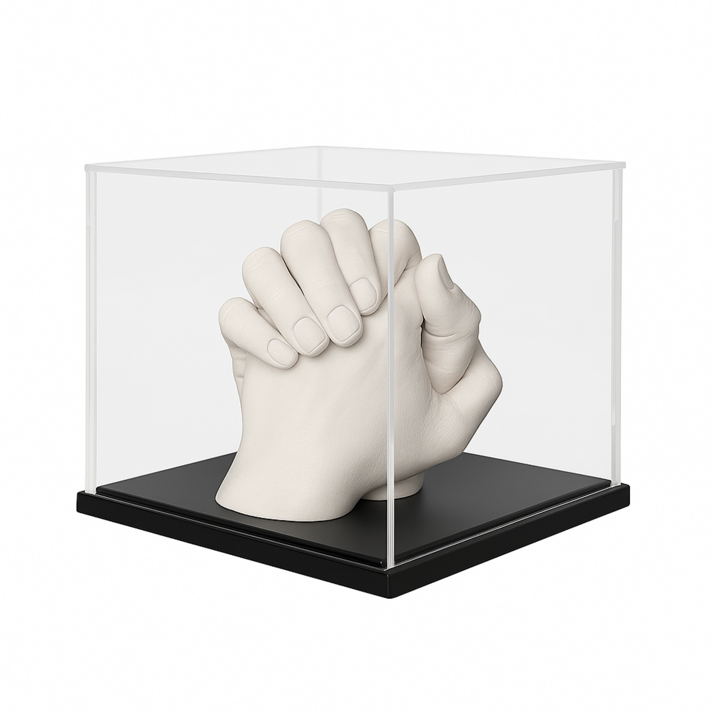 Eternal Display Case